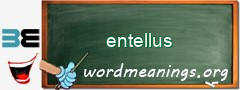 WordMeaning blackboard for entellus